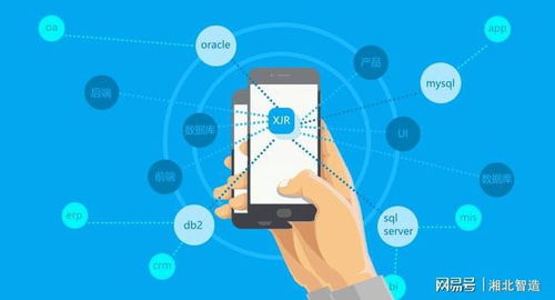 智能時代,快速開發(fā)平臺將成為主流軟件開發(fā)工具