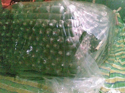 從企業(yè)黃頁(yè)到專業(yè)平臺(tái) 解析香菇滅菌鍋爐與滅菌方柜的生產(chǎn)與應(yīng)用